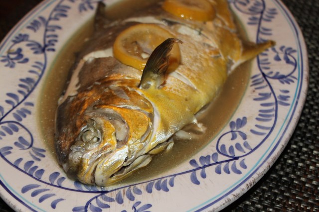 FeshCatchFriday3.17 001