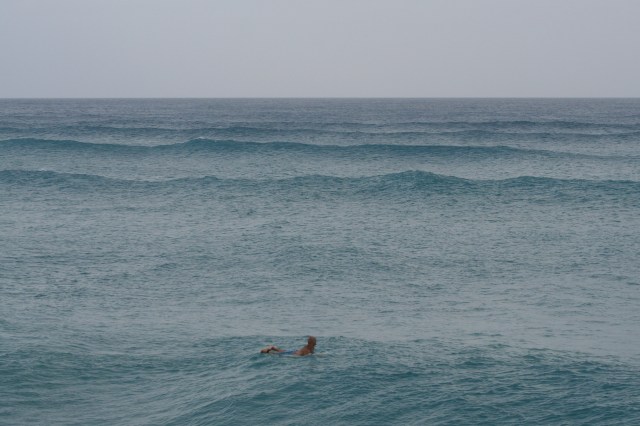 SurfingTuesdayMarch12 006