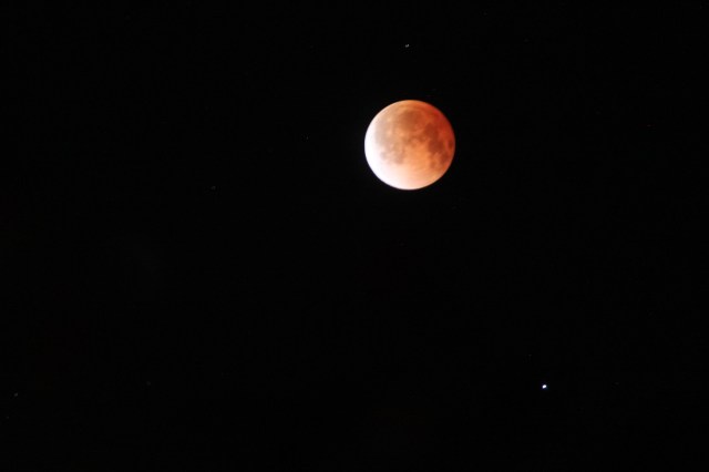 redmoon8