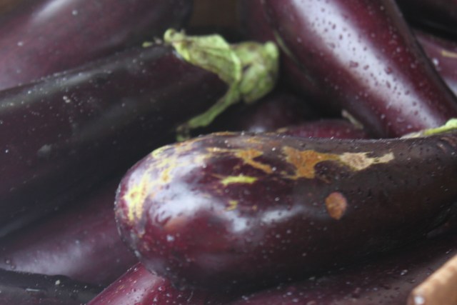 eggplant
