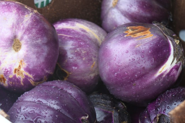 eggplant2