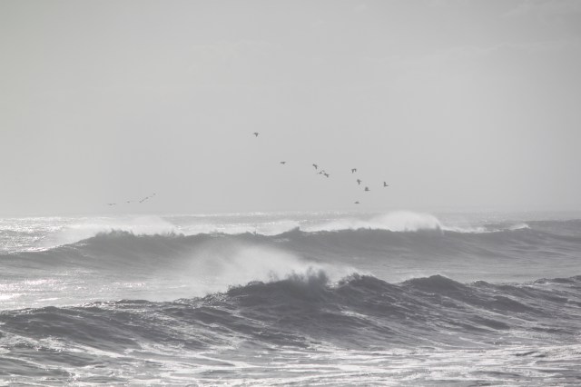 JupiterWavesNov2010 042