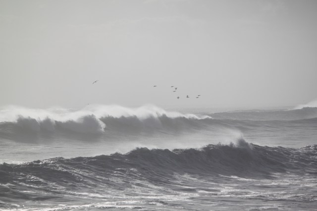 JupiterWavesNov2010 043