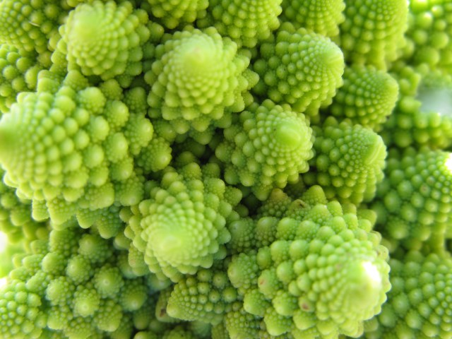 Romanesco_Broccoli_detail_-_(2)[1]