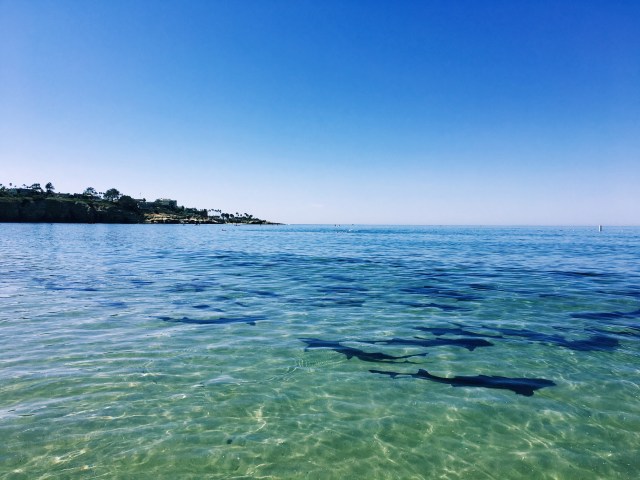 Processed with VSCO with k1 preset