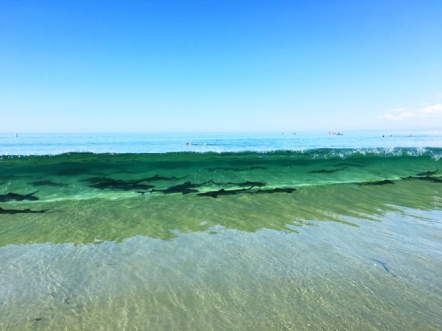 Processed with VSCO with s3 preset