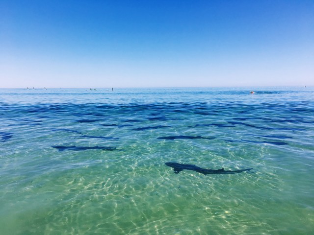 Processed with VSCO with k1 preset